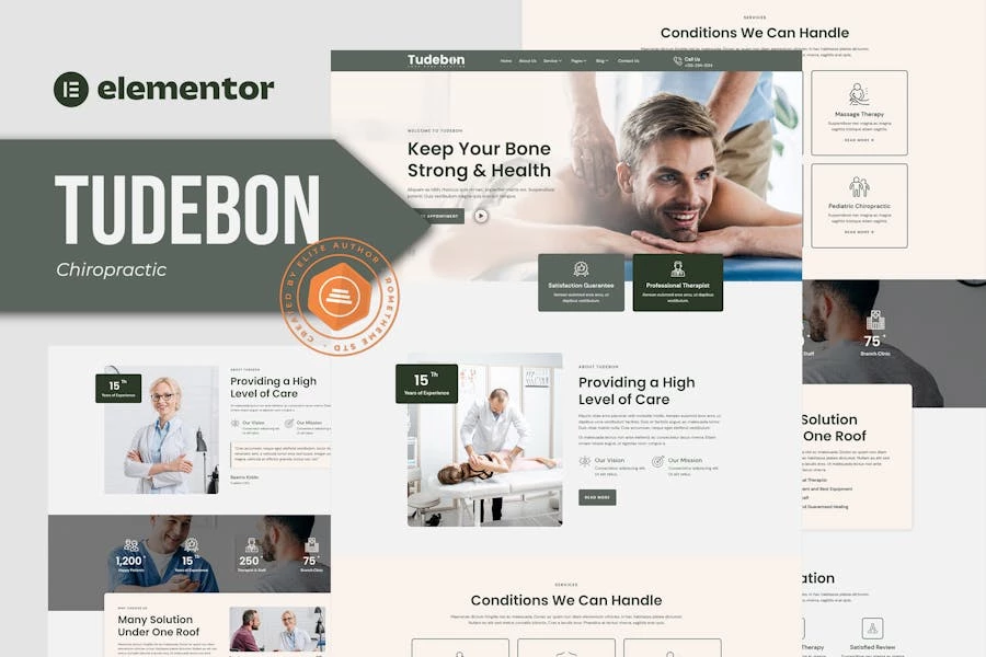 Tudebon – Template Kit de elementos de quiropráctica y fisioterapia