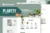 Plantsy – Template Kit Elementor de plantas de interior